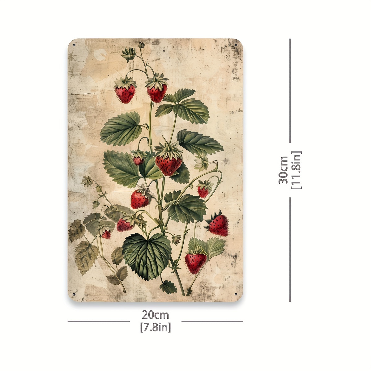 1 Buah, Tanda Timah Logam Kole - Vintage Collectible Tins ulasan dan harga