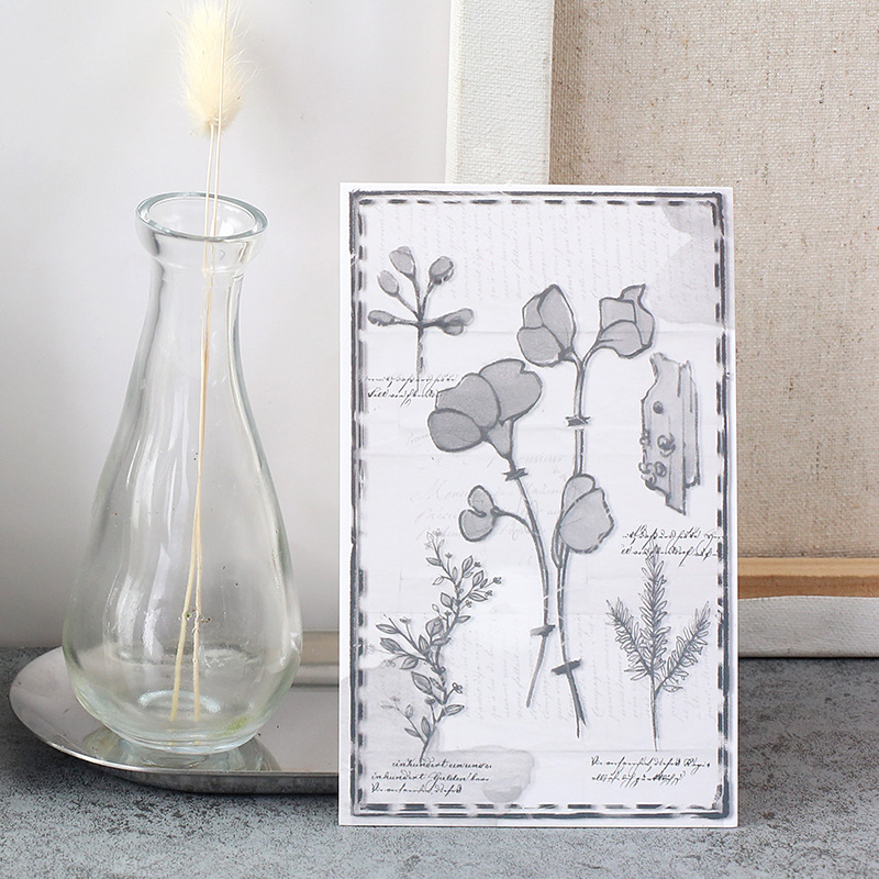 30PCS Set Kartu Pos Tanaman Be - Collectible Vintage Greeting Cards ulasan dan harga
